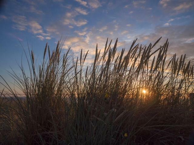 Pakhuis 5 Katwijk aan Zee Extérieur photo